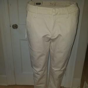 True NYC Chino Oxford Trouser Pants